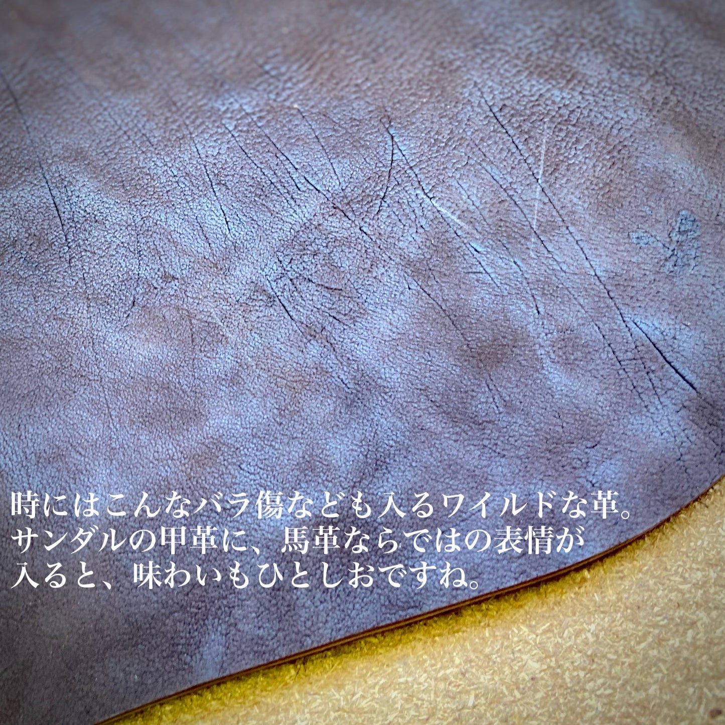 【18周年記念アイテム】The 2Monkeys　”AUGUSTUS”Sandal Brown Oiled【TM82952】